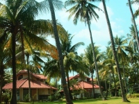 Villa Type Parangtritis